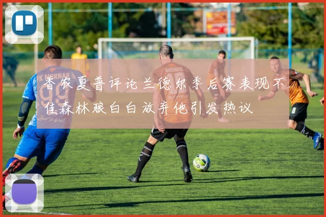 香农夏普评论兰德尔季后赛表现不佳森林狼白白放弃他引发热议
